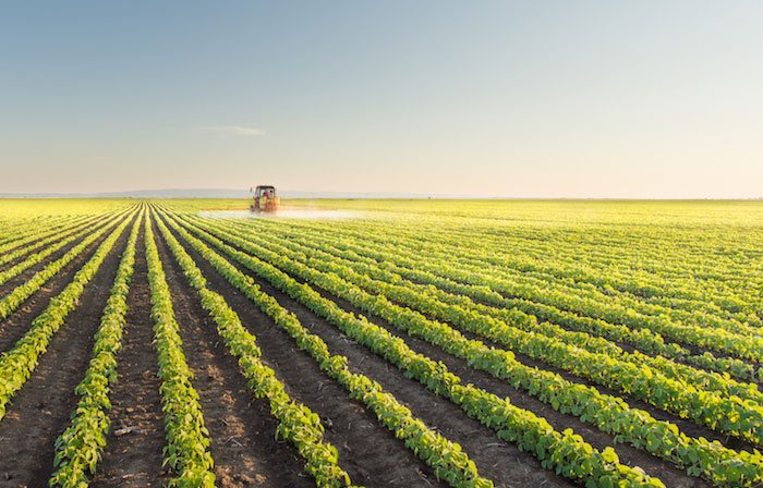 Centro de distribución Ciudad Hidalgo Chiapas Innovación Lógika en Transporte